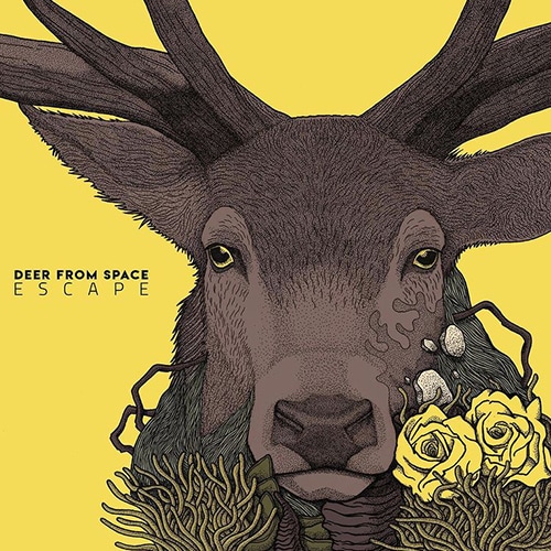 deer-from-space-lineup